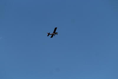 IMG 1666